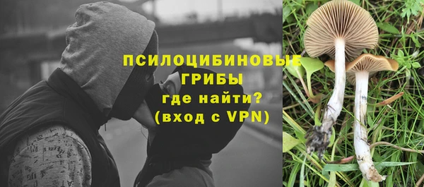 прущий лед Медногорск