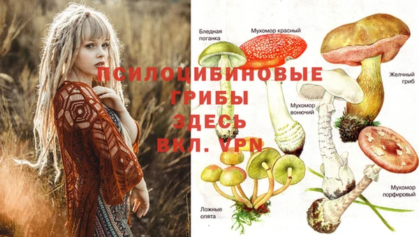 прущий лед Медногорск
