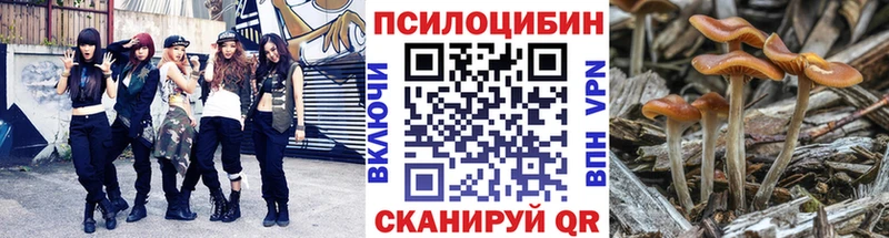 Псилоцибиновые грибы мицелий  Чухлома 